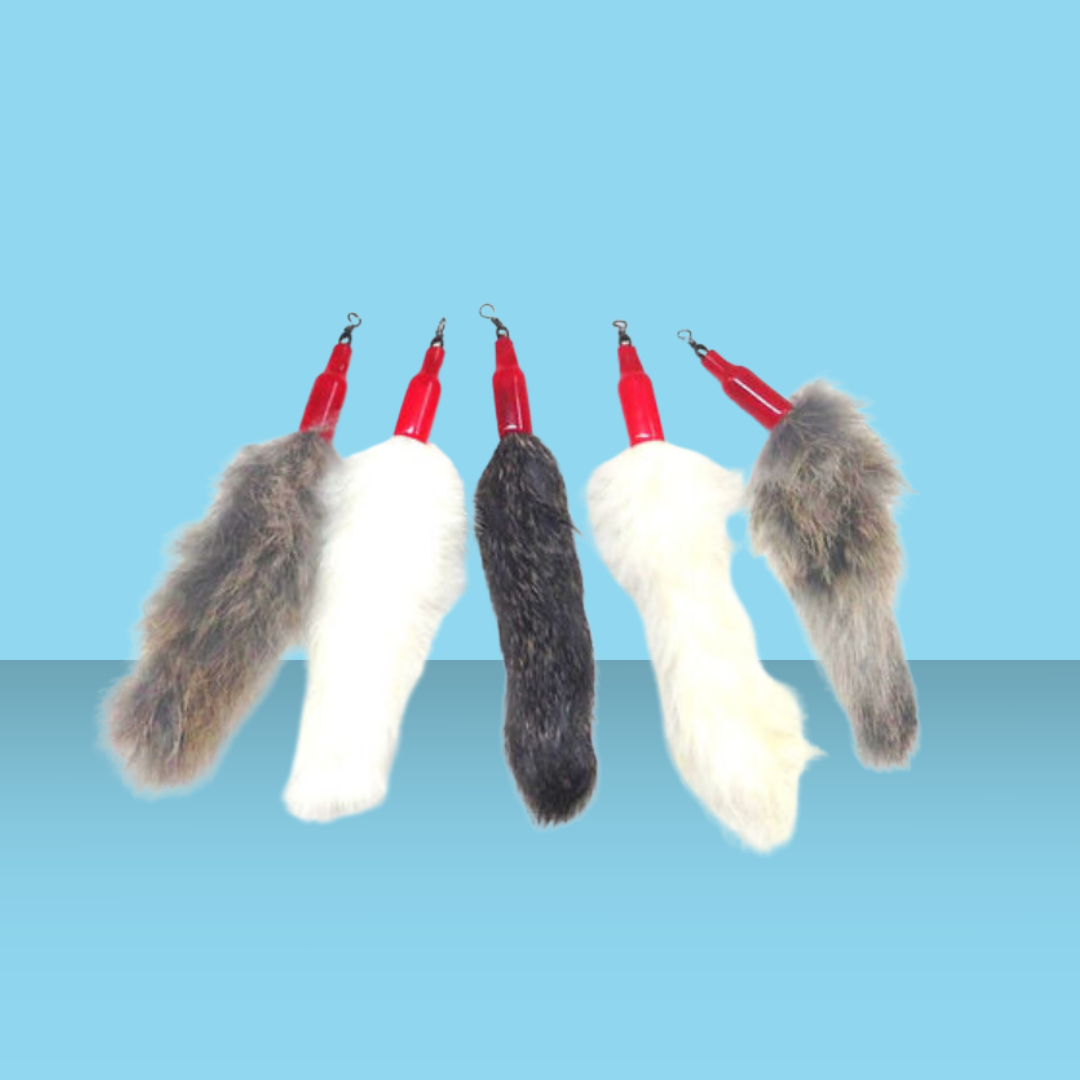 Go Cat Da Bird Fur Fun