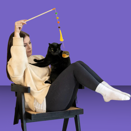 ZippyClaws ZippyStick Hedgehog