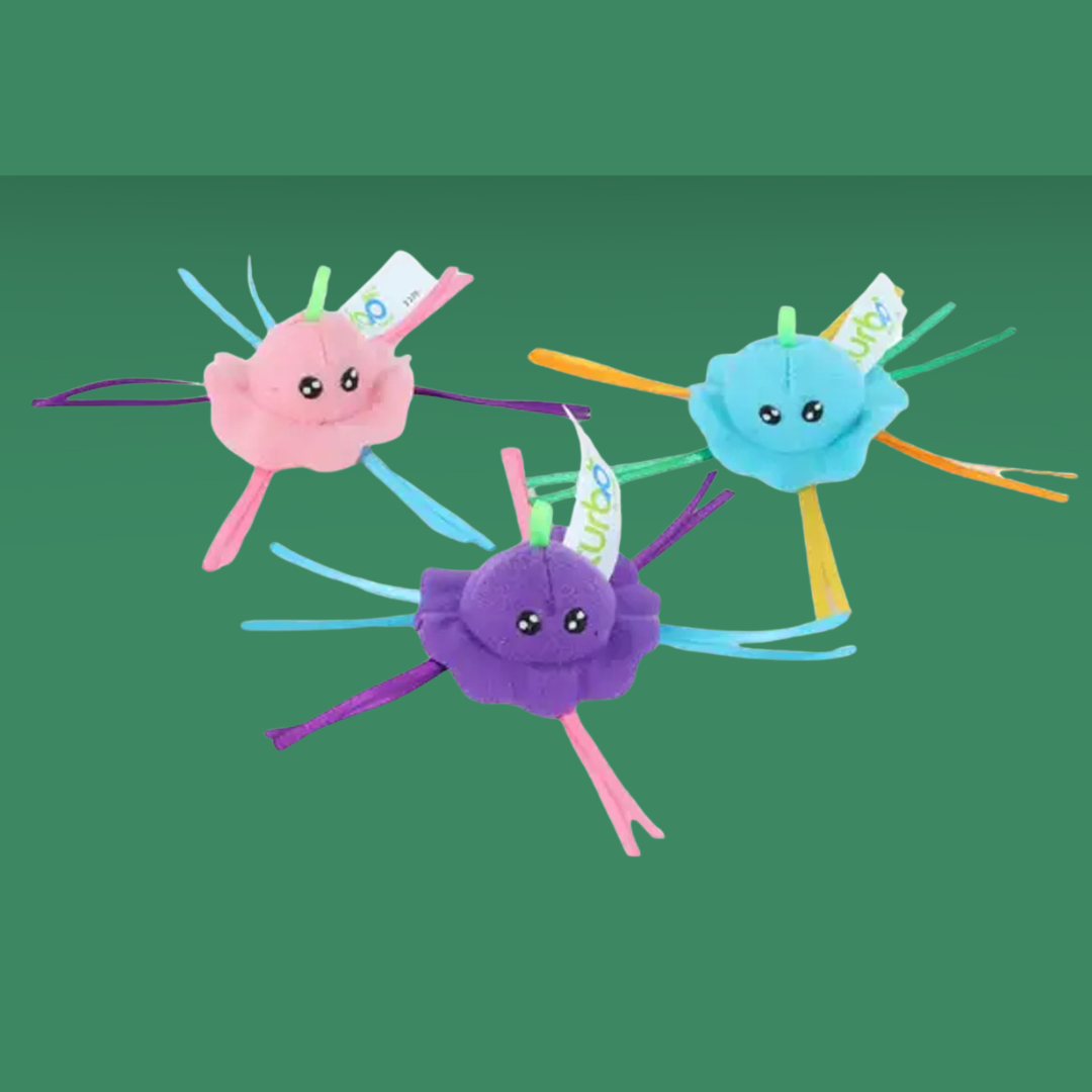 Coastal Pet Jellyfish