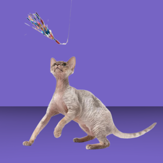 Go Cat Da Bird Sparkler