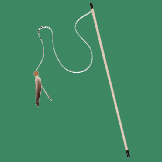 From the Field Freddy's Feather Wand